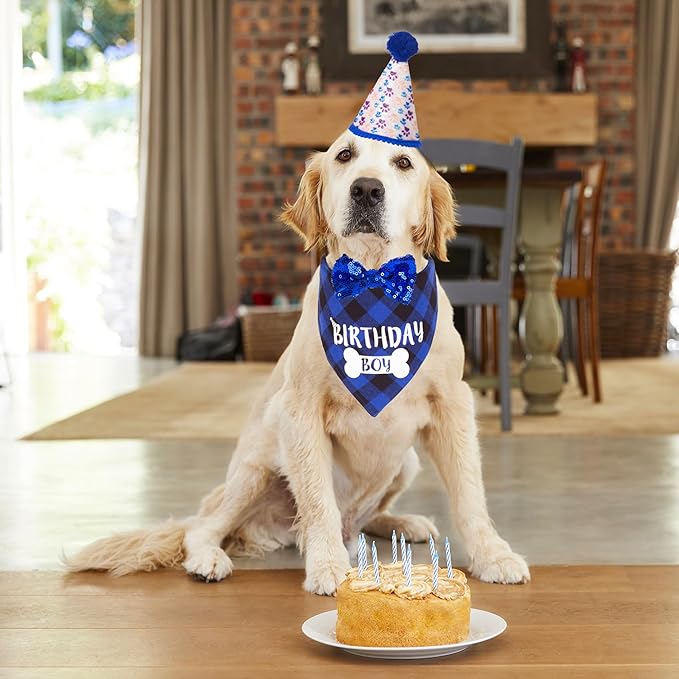 ADOGGYGO Dog Birthday Party Supplies, Pet Party Hat with Numbers, Bow, Blue Plaid Birthday Boy Bandana for Extra Large Dogs (X-Large)