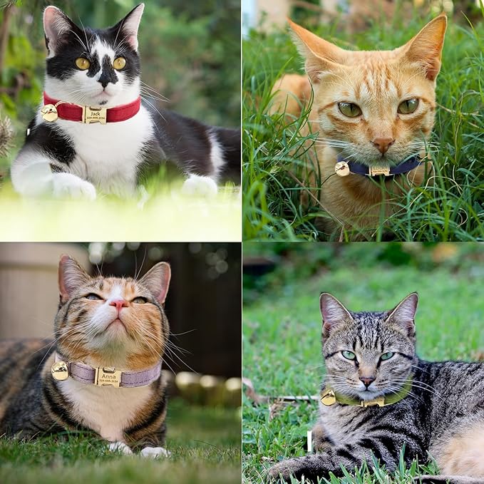 Personalized Cat Collar with Custom Name Plate, Customize Engraved Gold Metal Buckle, Adjustable Velvet Tough Nylon Cat ID Tag Collars with Bell