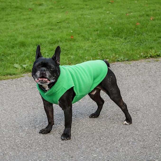 JACKO & CO - Fleece Vest Dog Sweater with Leash Ring - Soft, Warm & Lightweight Pullover Coat for Small & Medium Dogs, Puppies & Cats - Cozy Fall/Winter/Spring Pet Jacket (Green, Large 10-16lbs)