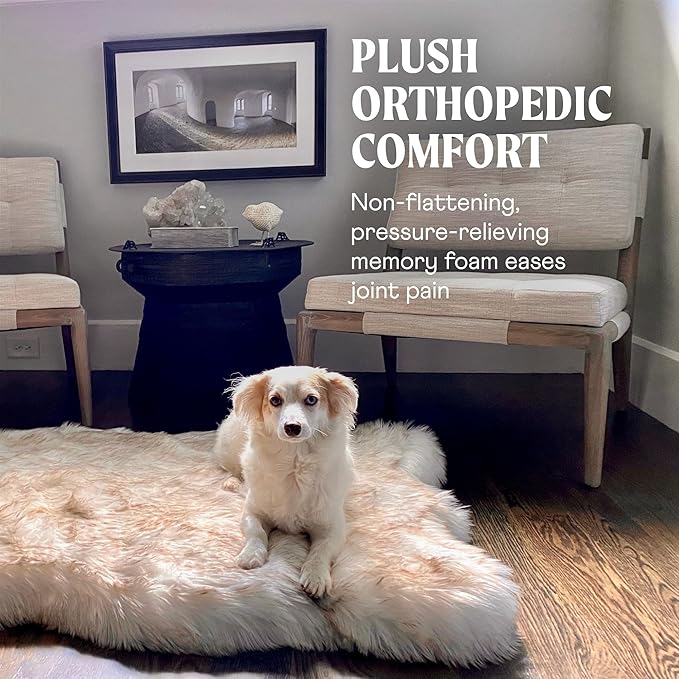 PAW BRANDS PupRug Orthopedic Dog Bed for Large Dogs with Fluffy Soft Faux Fur and Memory Foam for Joint Pain Relief, Machine Washable and Waterproof Couch Bed, White with Brown Accents, Large/XL