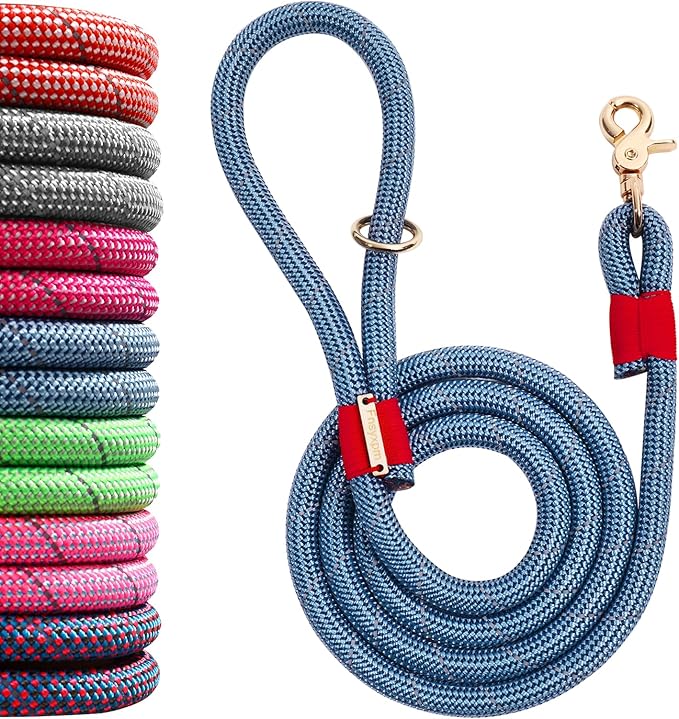 Nylon Rope Dog Leash Reflective, Handmade Braided Strong Dog Lead, Heavy Duty Rope Leash for Medium Large Dogs (5 FT - 3/5" Blue)