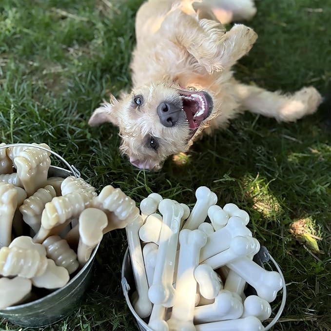 Nylabone Original Bone Power Chew Toy for Dogs, Durable Dog Toys for Aggressive Chewers, Basted Blast Bacon & Chicken Flavor, Medium - Up to 35 lbs, 2 Pack