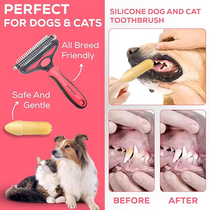 Pet Grooming Set – 1 Brush + 2 Toothbrushes (Soft & Finger) for Dogs & Cats(Pink)