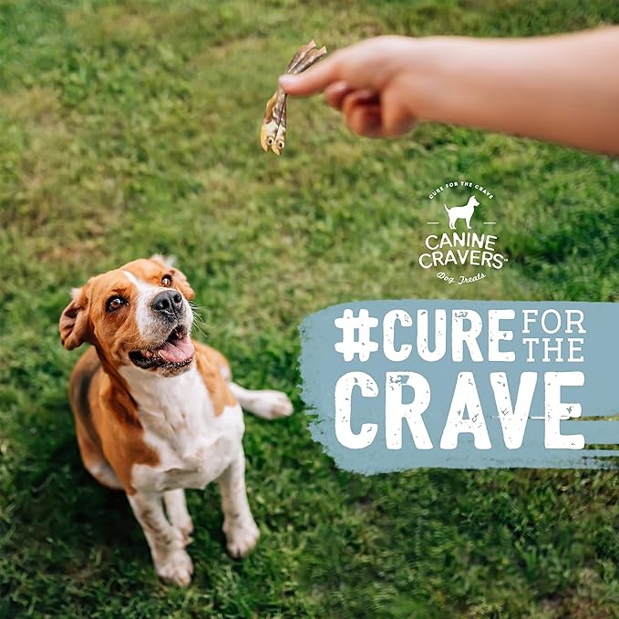 Canine Cravers Single Ingredient Dog Treats – Wild Caught Lake Smelt - Human Grade Air Dried Hypoallergenic Pet Food – Grain, Gluten, and Soy Free – 100% All Natural – 3 oz (Pack of 2)