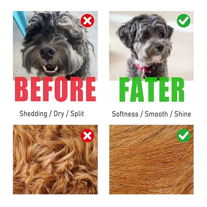 Dog Steam Brush 3 in 1 Cat Brush with Steam and Release Button Grooming Tool for Indoor Pets Dogs Hair Removal Shedding Water for Small Animals Long Short Haired(WHITE)