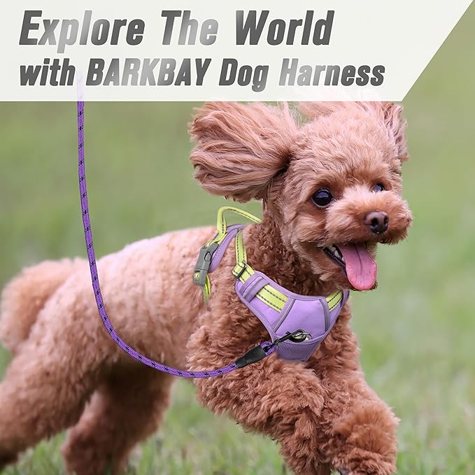 BARKBAY No Pull Dog Harness Front Clip Heavy Duty Reflective Easy Control Handle for Large Dog Walking(Violet Purple & Sunlight,XS)