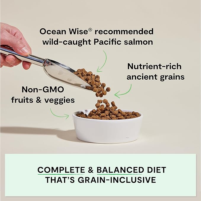 Open Farm, Ancient Grains Dry Dog Food, Protein-Rich & Nutrient Dense, 90% Animal Protein Mixed with Non-GMO Fruits, Veggies and Superfoods, Wild Caught Salmon Recipe, 11lb Bag