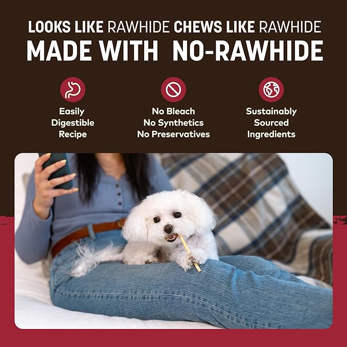 Earth Animal No Hide Stix - Long Lasting Rawhide Free Small Dog Chews Sticks, Beef - 40 Count Extra Value Pack