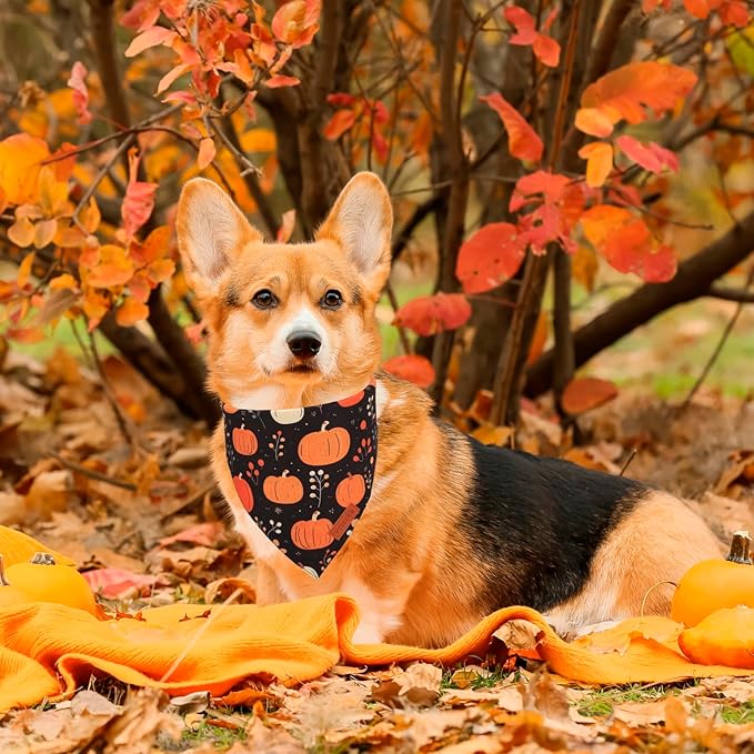 PTDECOR Fall Dog Bandana, Pumpkin Mushroom Design Scarf Reversible Holiday Dog Scarf, Triangle Thanksgiving Bandanas for Medium Large Pets (Large)