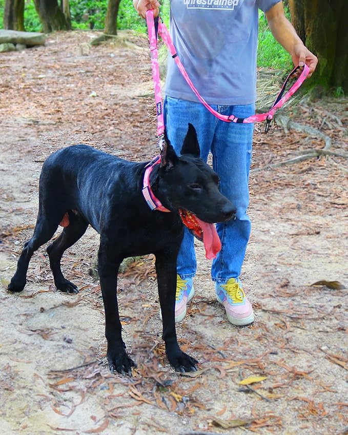 Hotsky Heavy Duty Dog Leash,4.5-6 FT Adjustable Durable Nylon Seatbelt Lead with Two Padded Traffic Handle and Carabiner for Large Medium and Small Breed Dogs,Pink Camo