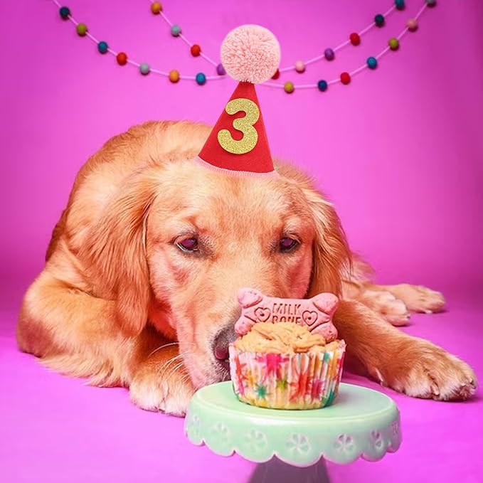 Pet Birthday Hat with Interchangeable Numbers 1-10 | Adjustable Pet Party Cone Hat for Dogs & Cats | Puppy Birthday Photo Props for 1st to 10th Birthday Celebrations (Red Birthday Pet Hat)