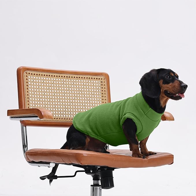 PUMYPOREITY Cat Sweater, Warm Kitten Clothes, Fleece Winter Coat for Hairless Cats, Soft Dog Fleece Vest, Cold Weather Pet Sweater for Dogs and Cats, Green, S