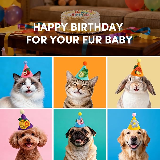 12pcs Mini Party Hats for Stuffed Animals, Small Colorful Birthday Hats with Cute Fruit Knitted Applique for Dolls Dogs Cats Rabbits, Birthday Party Decoration Supplies