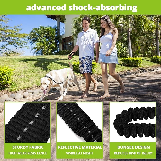 Rope Dog Leash 6 FT: Heavy Duty Leashes with Swivel Lockable Hook Reflective Threads Bungee and Padded Handle - Dog Lead for Large Small Medium Dogs Outside Walking Hiking Green