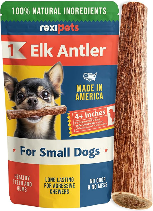 100% Natural - Antlers for Dogs - Naturally Shed in USA - Grade A Long Lasting Chew for Aggressive Chewers - Elk Antlers Dog Antler Chews - Real, Healthy Treats & Toys - No Odor & No Mess - Small