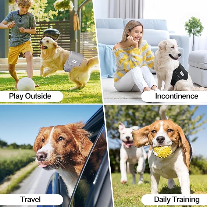 Washable Male Dog Diapers Reusable, Premium Belly Bands for Male Dogs, Pack of 3, High Absorbing Extra Extra Large Male Dog Pee Wraps for Puppy in Incontinence or Excitable Urination and Training(XXL)