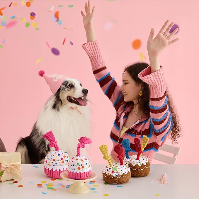 LE SURE Dog Birthday Cake Toy - Cute Dog Birthday Cake Squeaky Toy with Interactive Tug Rope, Interactive Chew Toy for Puppy Birthday Party & Daily Play, XSmall, Milk Chocolate