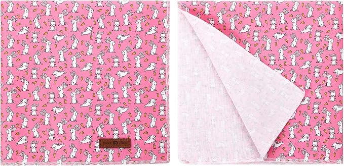 lionet paws Easter Bunny Carrot Dog Bandana for Small Medium Large Dogs, Cat Dog Kerchief Triangle Bibs Scarf for Girl Boy