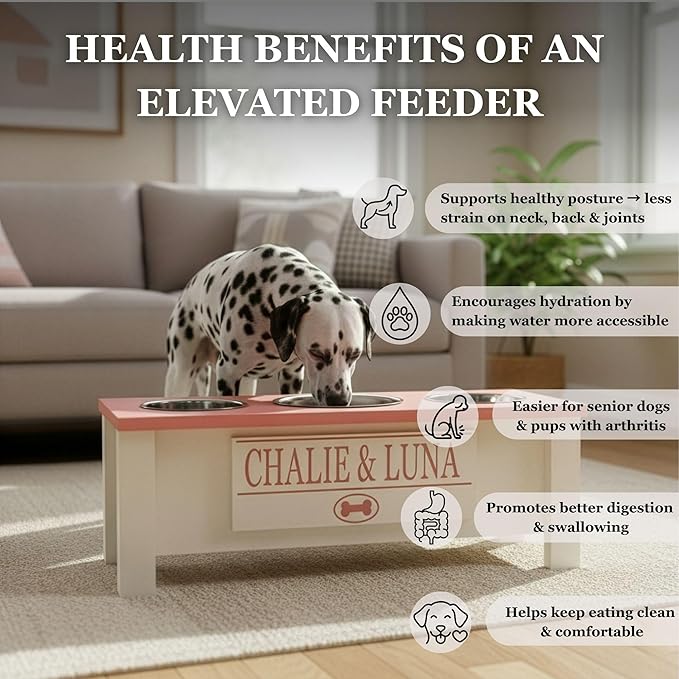 GrooveThis Woodshop - Personalized Elevated Triple Dog Bowl Stand for Large, Medium, Small, X-Small Dogs - 3 Stainless Steel Food and Water Bowls - Raised Dog Dish with Internal Storage (Large, Black)