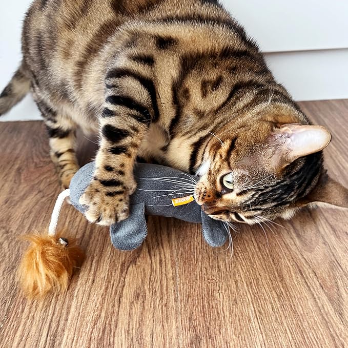 TTcat Catnip Silvervine Matatabi Pillow for Cats Kittens,Crinkle Sound Toy,Cat Kicker Toy,Large Size Cat Soothing Plush Pillow (Mouse).