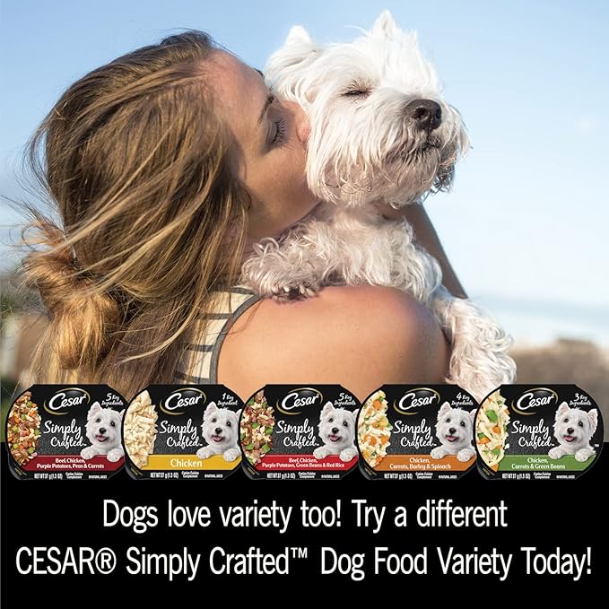 Cesar Simply Crafted Adult Wet Dog Food Meal Topper, Chicken, 1.3 oz. Tubs (24 Count, Pack of 1)