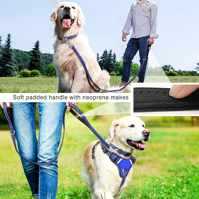 WINSEE Pet Harness Collar and Leash Set, All-in-one Reflective Dog Harness No Pull with Adjustable Buckles for Puppies, Small, Medium, Large, and Extra-Large Dogs (Small, Dark Blue)