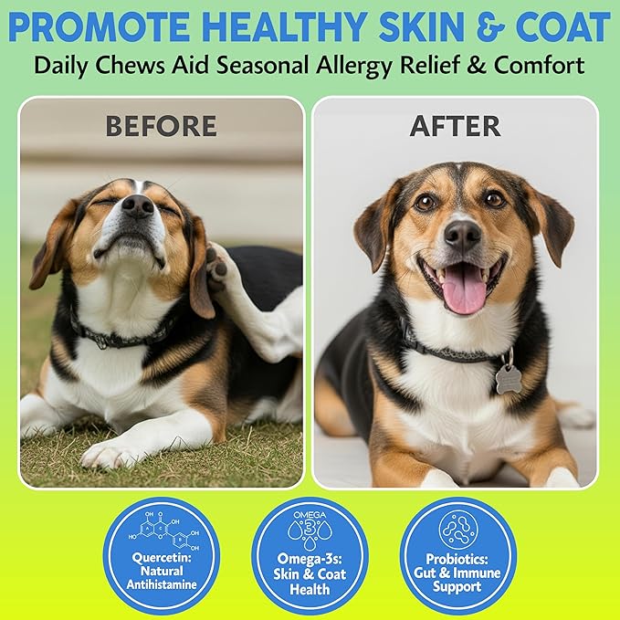 Asher House Wellness Dog Allergy Chews - All-Natural Itchy Skin Relief for Dogs with Bee Pollen, Colostrum - Licking Paw Treatment, Allergy Medicine for Dogs Over 12 Weeks, 120 Chews