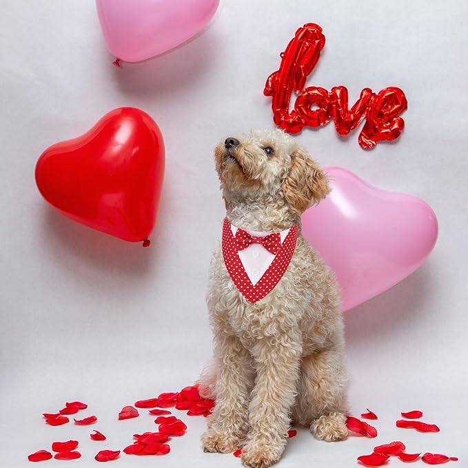 ADOGGYGO Valentine Dog Tuxedo Bandana, Red Heart Pet Tux with Bowtie Adjustable Valentine Costume for Extra Small Dogs Cats (XS)