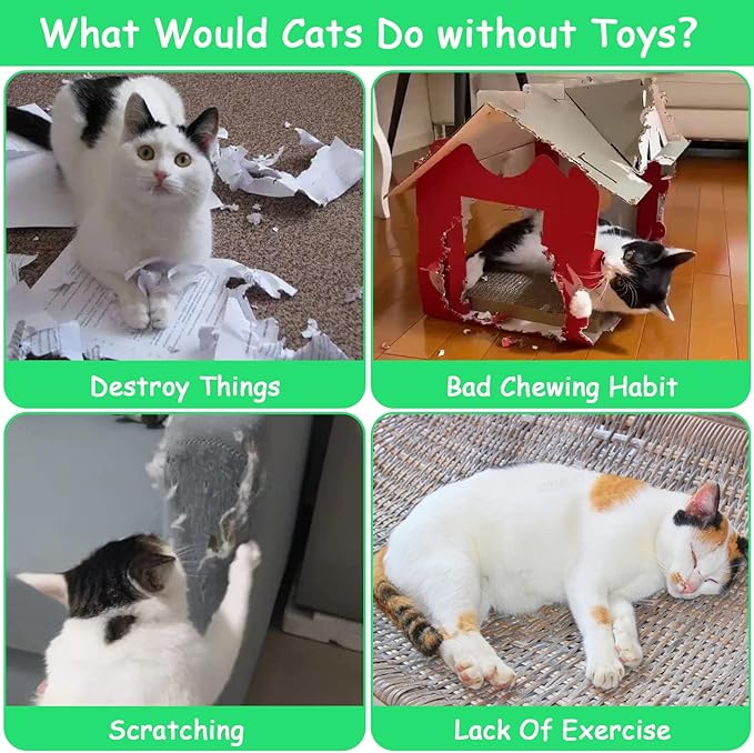 6 Pack Cat Toys Pineapple, Catnip Kitten Toys for Indoor Cats Kitty, Interactive Cat Nip Chew Kicker Toy for All Pet Breed