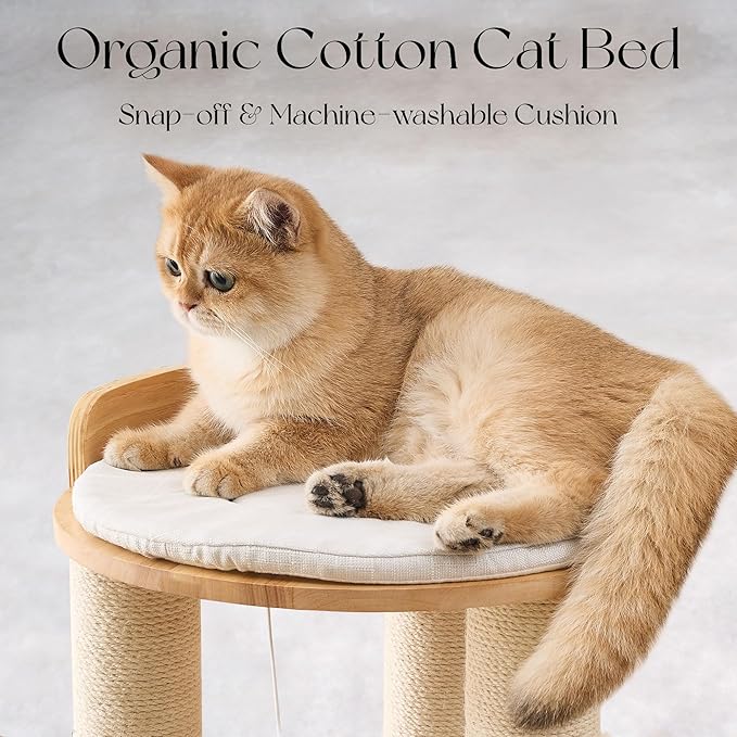 797Audio Modern Solid Wood Cat Tree Tower, 54" Tall Cat Tree with Sisal Scratching Posts, Capsule&Hammock,Natural Oak Wooden Cat Tower,Aesthetic Multi-Level Cat Climbing Tree for Large Indoor Cats