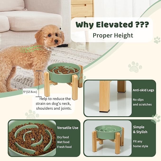 Elevated Slow Feeder Dog Bowl - Ceramic Maze Food Dish with Bamboo Stand - Raised Feeding Bowl for Fast Eaters - Ideal for Small and Medium Dogs - Green - 6.7 inch