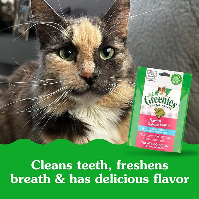 Greenies Feline Adult Dental Cat Treats, Savory Salmon Flavor, 2.1 oz. Pack