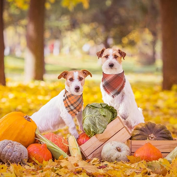 ADOGGYGO Fall Dog Bandana with Tassels Edges, Orange Red Plaid Pet Scarf Bib, Multiple Sizes Offered, Halloween Thanksgiving Fall Bandanas for Small Dogs Pets (Small)