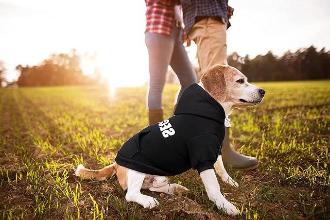 Dog Hoodie Security Dog Sweater Soft Brushed Fleece Pet Clothes Hoodie Sweatshirt with Pocket Sweaters for Small Dogs(XS)