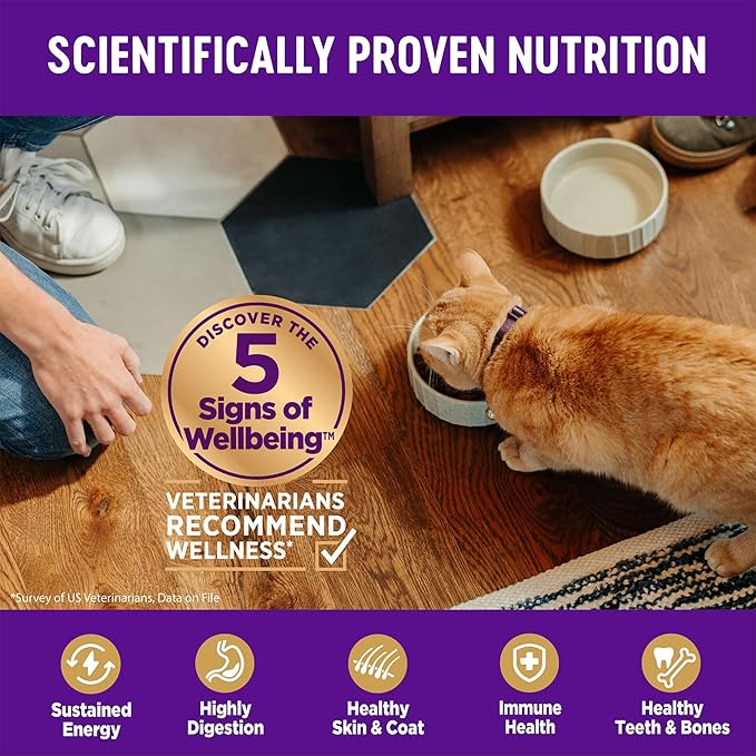Wellness Complete Health Adult Dry Cat Food for Indoor and Outdoor Cats, Grain Free, Natural, Chicken & Chicken Meal (11.5 Pound Bag)