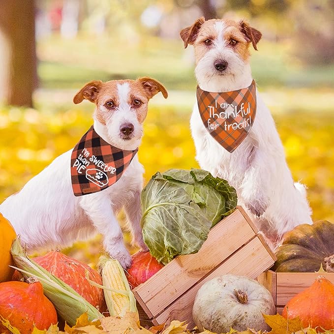 ADOGGYGO Thanksgiving Dog Bandanas, Orange Plaid Pet Scarf, Premium Cotton Fabric, Multiple Sizes Offered, Fall Thanksgiving Bandanas for Large X-Large Dogs Pets (X-Large)