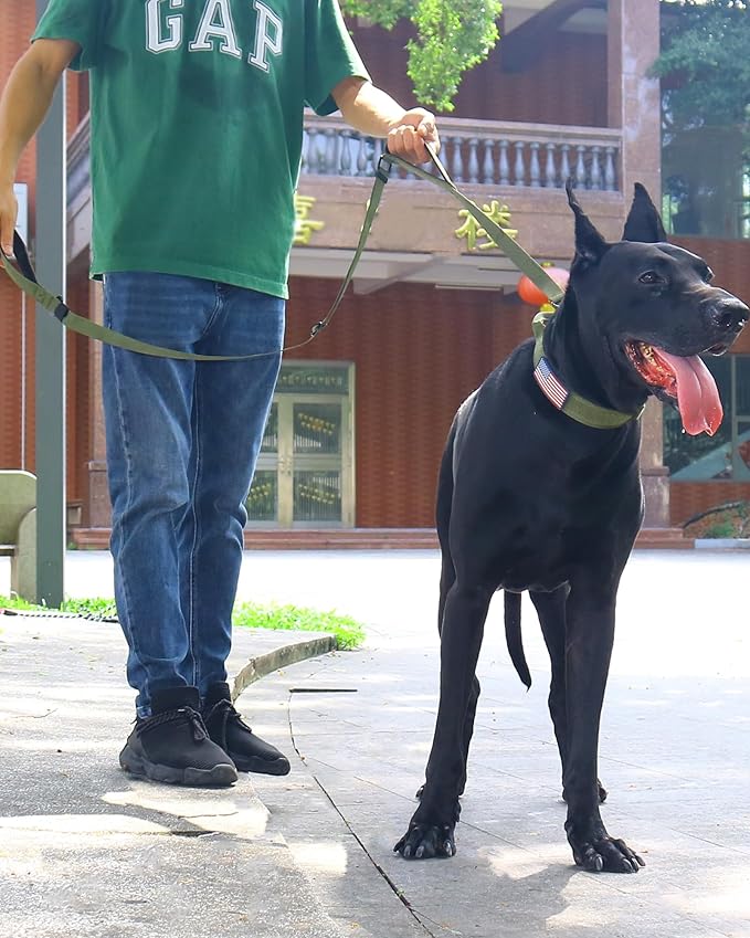 Hotsky Heavy Duty Dog Leash,4.5-6 FT Adjustable Durable Nylon Seatbelt Lead with Two Padded Traffic Handle and Carabiner for Large Medium and Small Breed Dogs,ArmyGreen