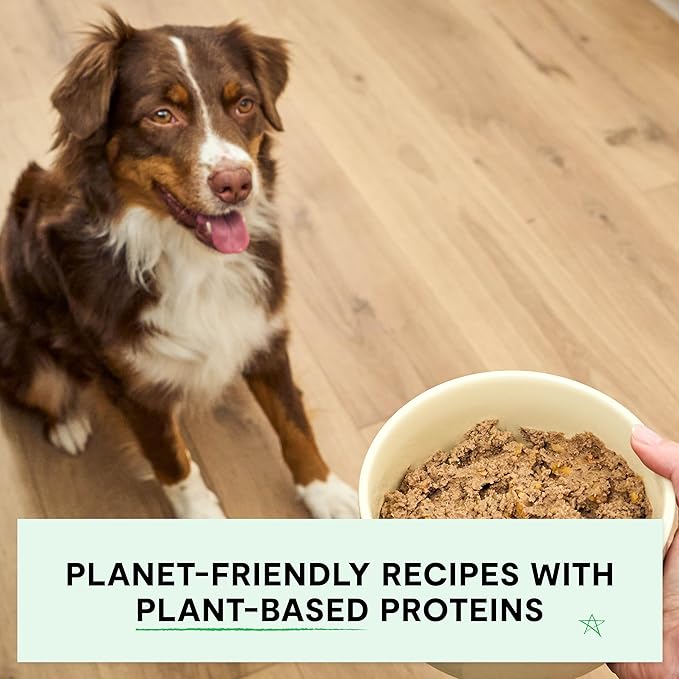 Open Farm Canned Dog Food, Plant Based Pate for Complete & Balanced Nutrition, Non-GMO Ancient Grains, Lentils and Vegetables, Plant Based Recipe, 12.5oz Cans (Pack of 12)