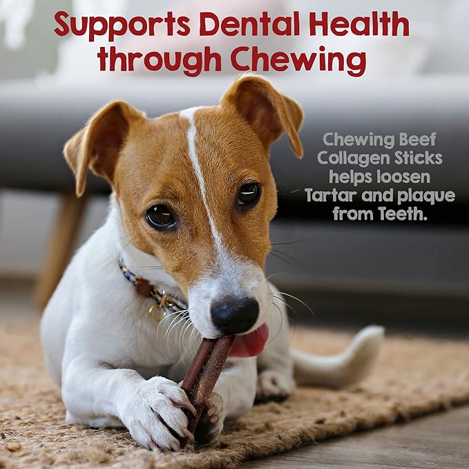 Riley's 12 Inch Beef Collagen Sticks for Dogs, Collagen Chews for Dogs, Bully Stick & Rawhide Alternative, Long Lasting, No Raw Hide Chews, Single Ingredient Dog Treat- 10 ct
