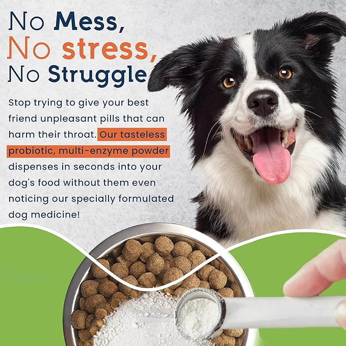 Pet Ultimates Probiotics for Dogs – 22-Species Dog Probiotics for Digestive Support & Antibiotics Recovery – Skin and Coat Supplement, Enhances Vitality – Dog Health Supplies (3 Pack)