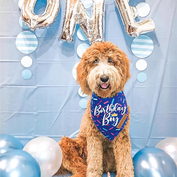 Realeaf Birthday Boy Dog Bandana, Dog Birthday Party Supplies,Premium Durable Fabric, Bandana for Large and XLarge Dogs (Blue, X-Large)