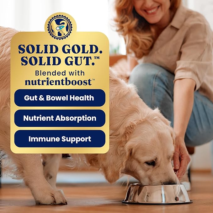 Solid Gold Wet Dog Food Variety Pack for Picky Eaters - Fit & Fabulous Chicken + Leaping Waters Chicken & Salmon Grain Free Canned Dog Food - Made with Real Protein for Sensitive Stomachs - 6 Pack