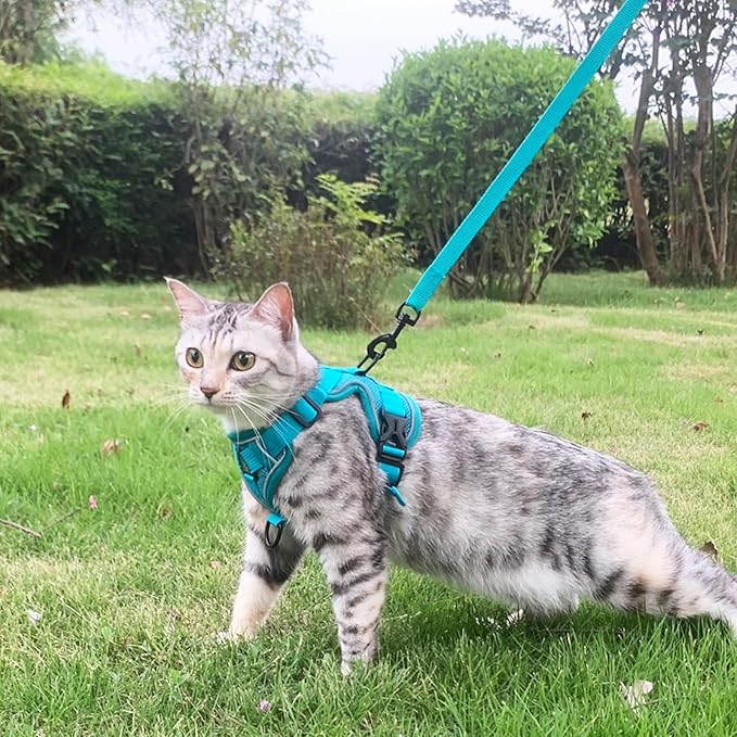 Cat Harness and Leash Set Escape Proof Tactical Large Kitten Harness Emotional Support Cat Vest, Turquoise, L