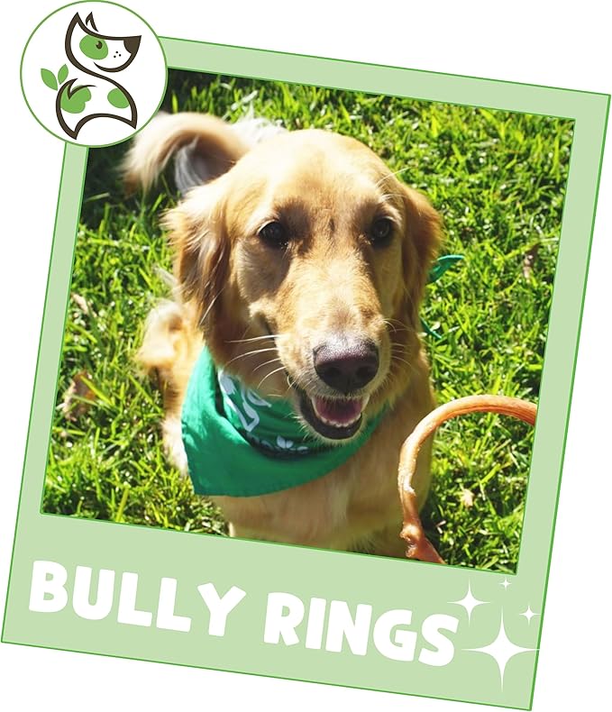 Nature Gnaws Bully Stick Rings for Dogs (5 Count) - Long Lasting for Aggressive Chewers - Natural Beef Dog Chew Bones - Rawhide Free