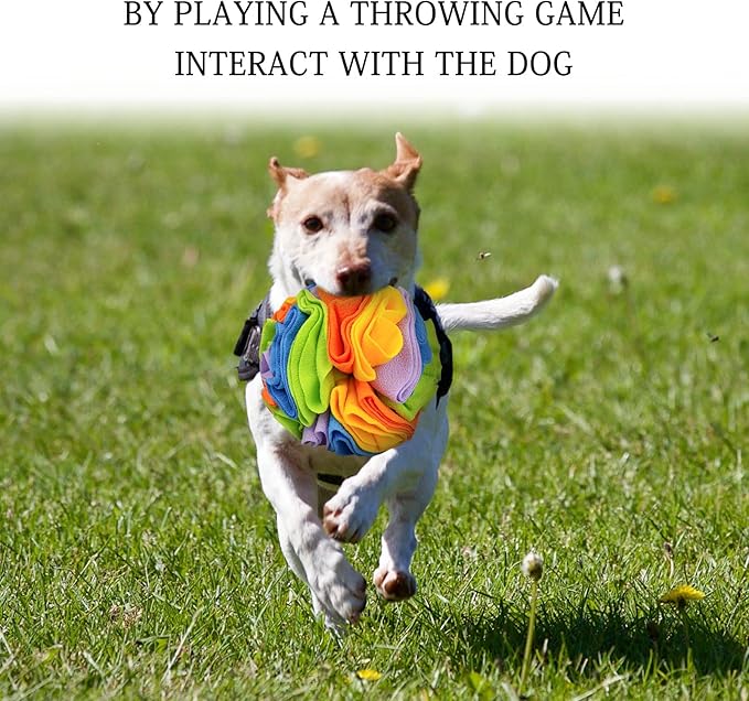 WishLotus Snuffle Ball (Rainbow), Interactive Pet Toy for Dogs, Slow Feeder, Stress Relief, Exercise Toy for Small/Medium Breeds