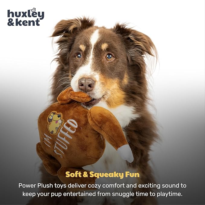 Huxley & Kent Funny Dog Toy w/Squeaker – Thanksgiving Fall Power Plush Squeaky Dog Toys for Small, Medium & Large Dogs – Soft Stuffed Animal for Indoor Play & Fetch - I'm Stuffed Turkey, Small
