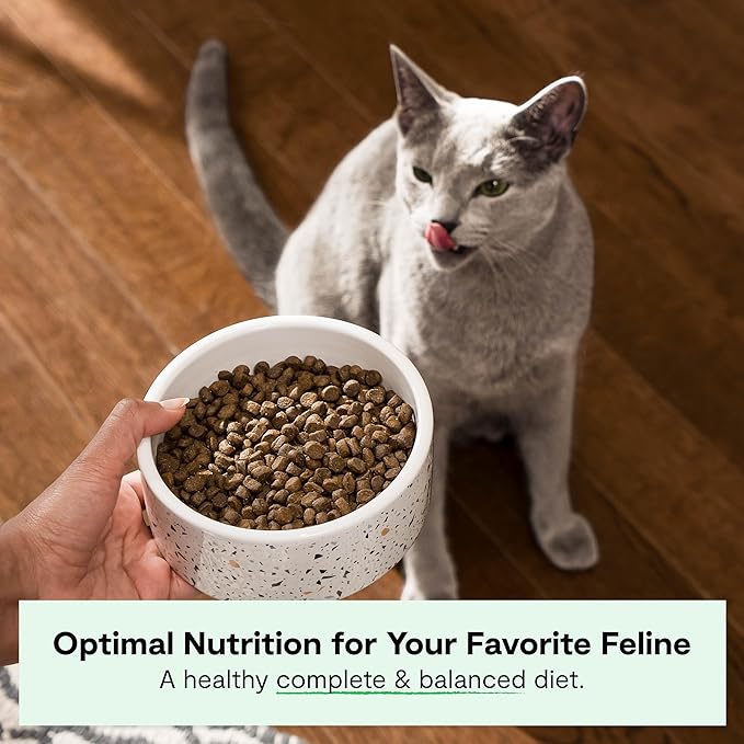 Open Farm, Grain Free Dry Cat Food, High-Protein Kibble for a Complete & Balanced Diet, Non-GMO Fruits & Vegetables, Prebiotic Fibers to Support Digestion, Catch-of-The Season Whitefish, 4lb Bag