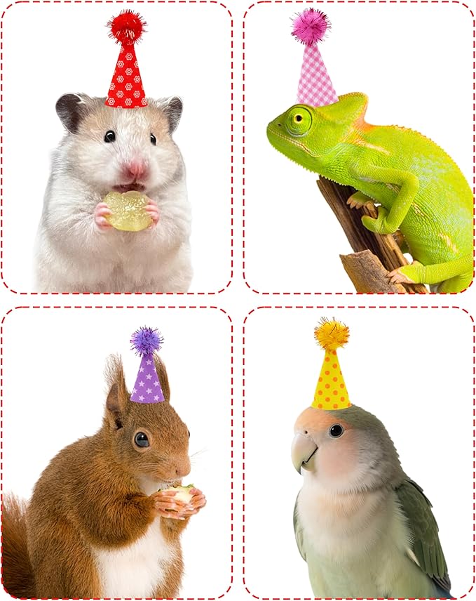 PET SHOW 10 Pack Hamster Hats Tiny Hats for Snakes Hedgehog Lizard Reptile Mini Animal Figure Hats with Tinsel Pom Adjustable Felt Headband Guinea Pig Chicken Bird Small Pet Birthday Party Accessories