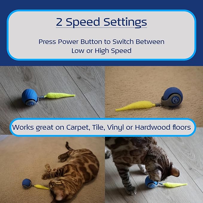 Interactive Ball Cat Toy, Version Bengal Blue with Neon Tail, 2-Speeds with Auto Shut-Off, Away Mode, for Indoor Adult Cats or Kittens