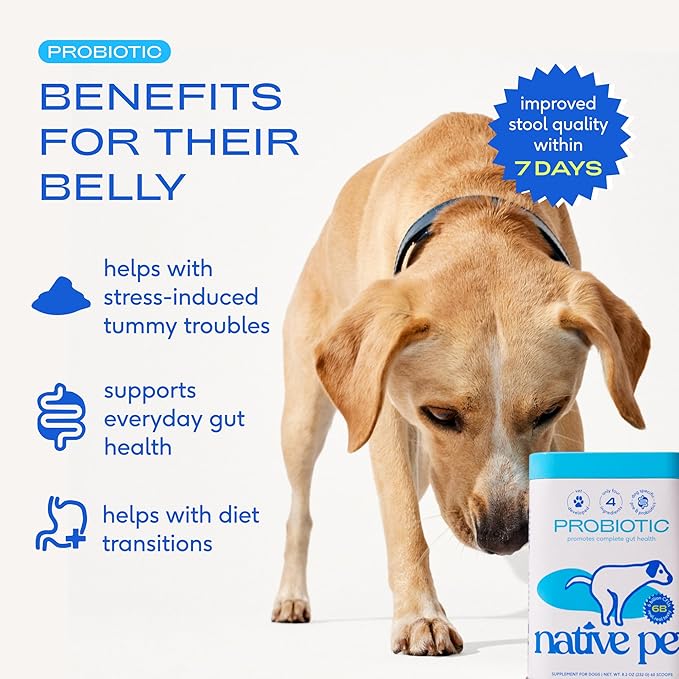 Native Pet Probiotics for Dogs - Dog Probiotics Powder for Digestive Health, Gut Support, & Immune Boost – Vet-Formulated Powder for Maximum Potency with Digestive Enzymes & Prebiotics - 30 Scoops